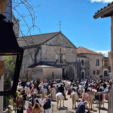 La Garriguette Centre Historique Calme Climatise 6 Couchages * Arles